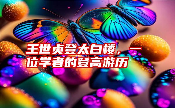 王世贞登太白楼，一位学者的登高游历