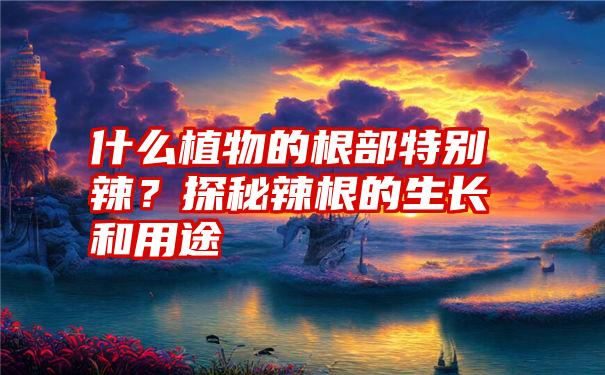 什么植物的根部特别辣？探秘辣根的生长和用途