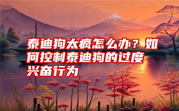 泰迪狗太疯怎么办？如何控制泰迪狗的过度兴奋行为