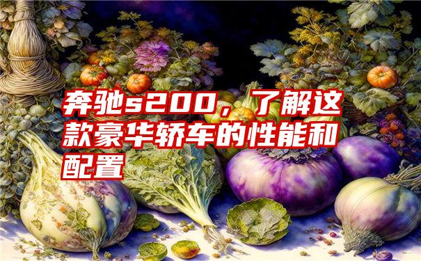 奔驰s200，了解这款豪华轿车的性能和配置