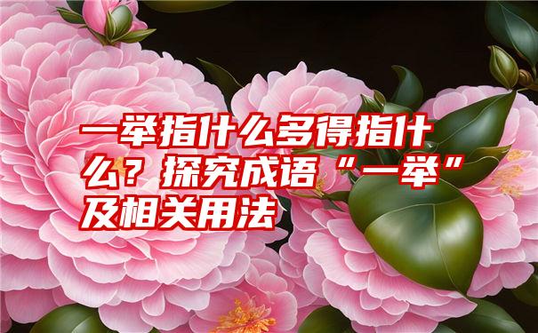 一举指什么多得指什么？探究成语“一举”及相关用法