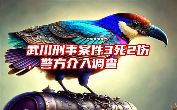 武川刑事案件3死2伤,警方介入调查