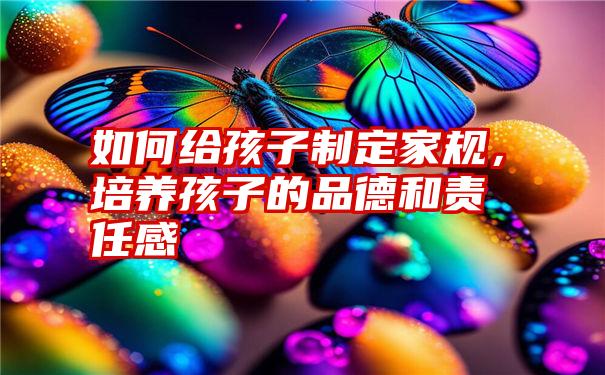 如何给孩子制定家规，培养孩子的品德和责任感