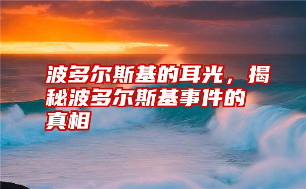 波多尔斯基的耳光，揭秘波多尔斯基事件的真相