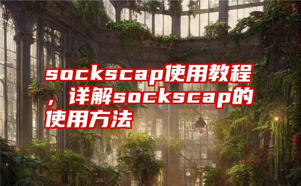 sockscap使用教程，详解sockscap的使用方法