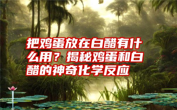 把鸡蛋放在白醋有什么用？揭秘鸡蛋和白醋的神奇化学反应