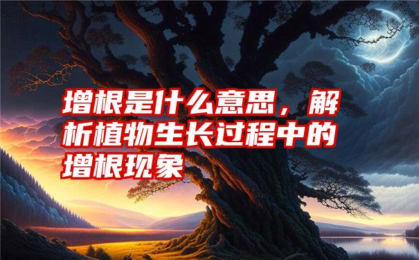 增根是什么意思，解析植物生长过程中的增根现象