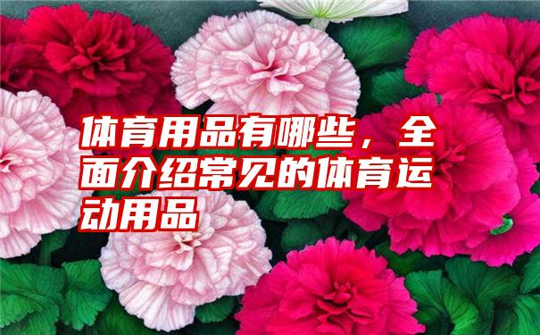 体育用品有哪些,全面介绍常见的体育运动用品