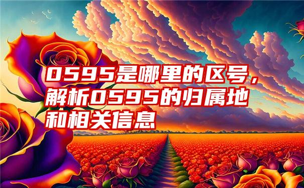 0595是哪里的区号，解析0595的归属地和相关信息