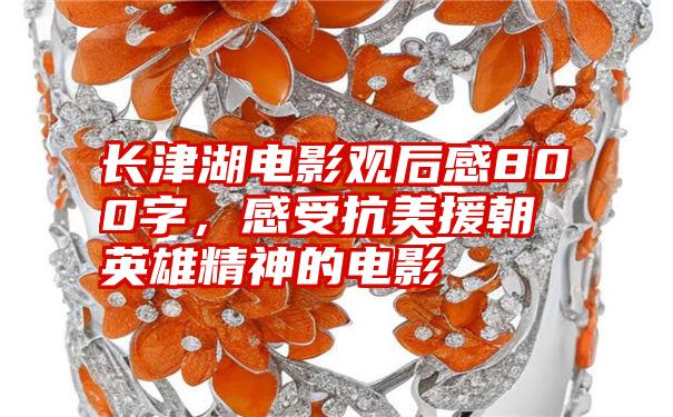 长津湖电影观后感800字，感受抗美援朝英雄精神的电影