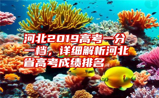 河北2019高考一分一档，详细解析河北省高考成绩排名