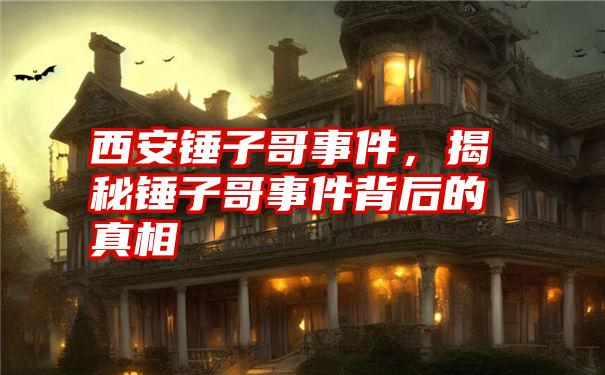 西安锤子哥事件,揭秘锤子哥事件背后的真相