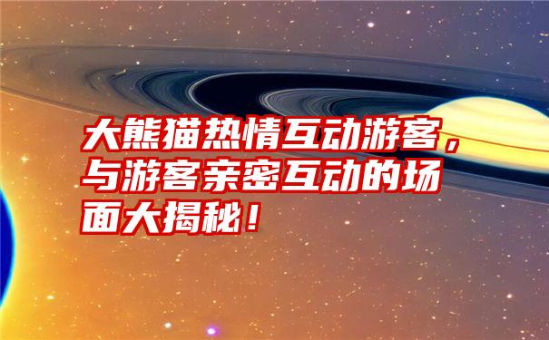 大熊猫热情互动游客，与游客亲密互动的场面大揭秘！