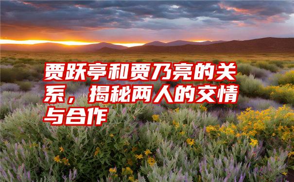 贾跃亭和贾乃亮的关系，揭秘两人的交情与合作