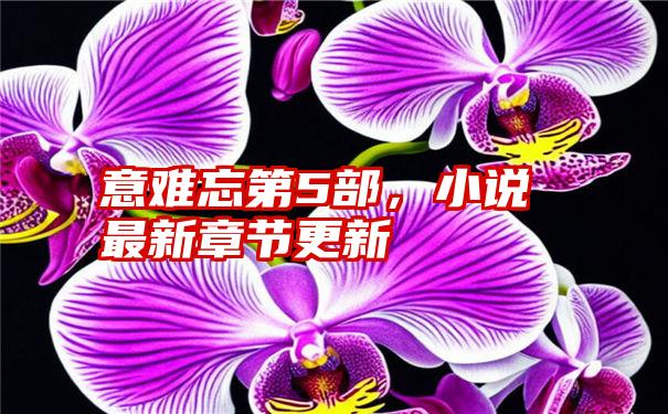 意难忘第5部，小说最新章节更新