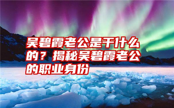 吴碧霞老公是干什么的？揭秘吴碧霞老公的职业身份