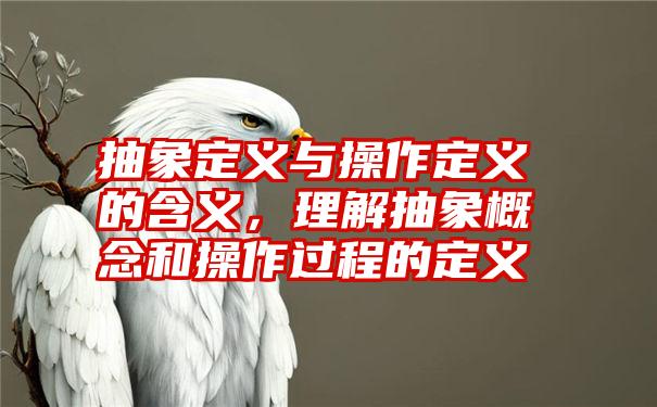 抽象定义与操作定义的含义，理解抽象概念和操作过程的定义