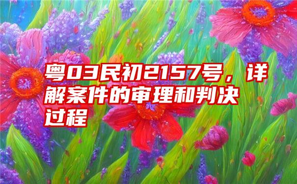 粤03民初2157号，详解案件的审理和判决过程