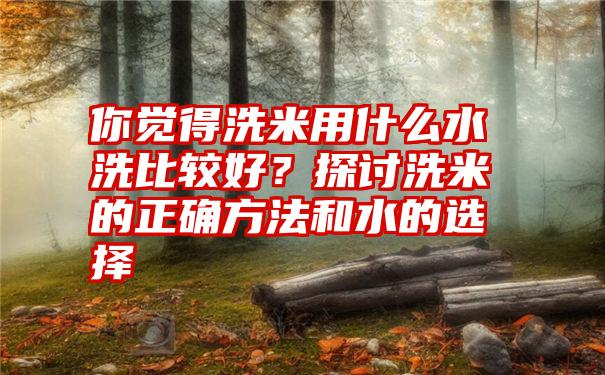 你觉得洗米用什么水洗比较好？探讨洗米的正确方法和水的选择