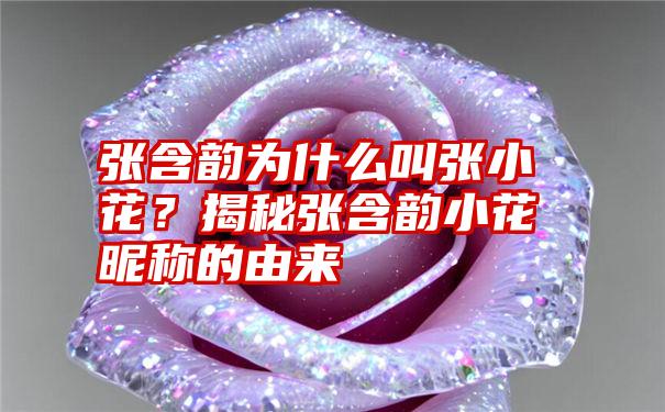 张含韵为什么叫张小花？揭秘张含韵小花昵称的由来