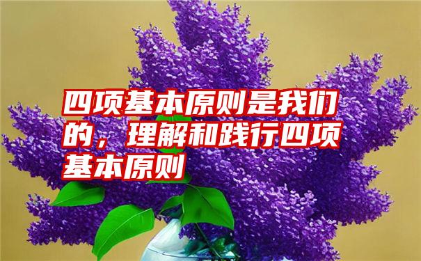 四项基本原则是我们的,理解和践行四项基本原则