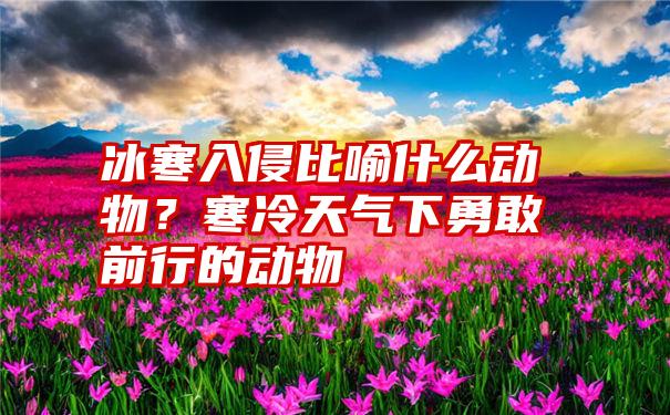 冰寒入侵比喻什么动物？寒冷天气下勇敢前行的动物