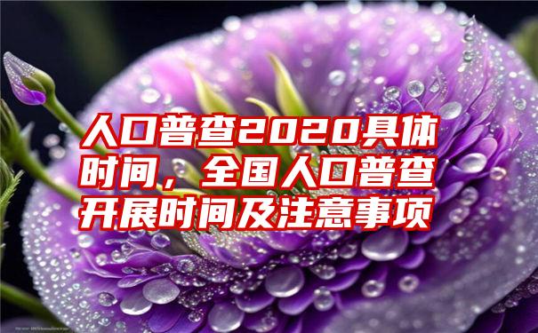 人口普查2020具体时间，全国人口普查开展时间及注意事项