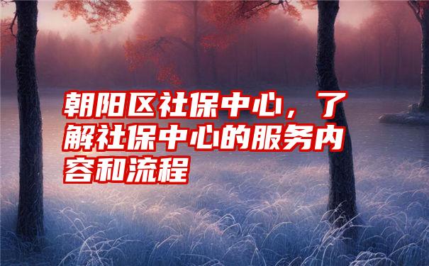 朝阳区社保中心，了解社保中心的服务内容和流程