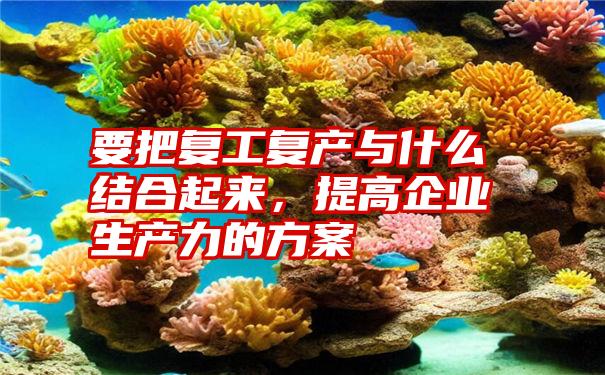 要把复工复产与什么结合起来，提高企业生产力的方案