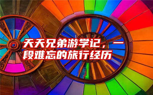 天天兄弟游学记，一段难忘的旅行经历
