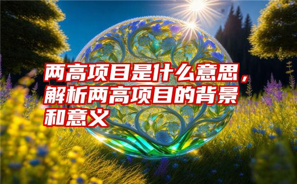 两高项目是什么意思，解析两高项目的背景和意义