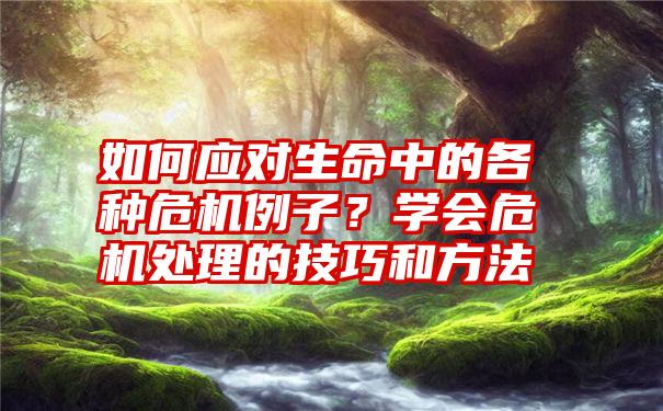 如何应对生命中的各种危机例子？学会危机处理的技巧和方法