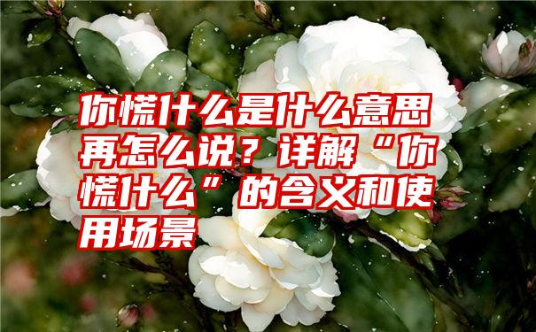 你慌什么是什么意思再怎么说？详解“你慌什么”的含义和使用场景