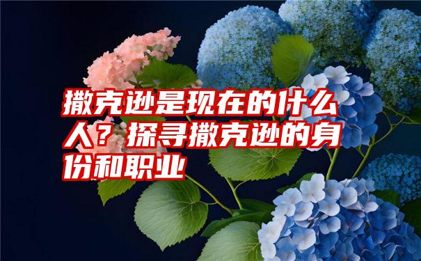 撒克逊是现在的什么人？探寻撒克逊的身份和职业