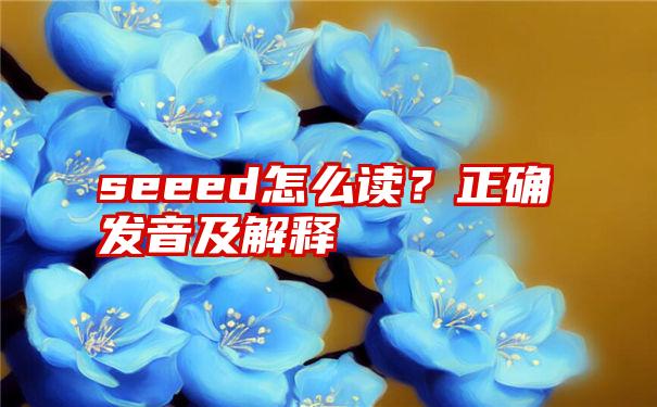 seeed怎么读？正确发音及解释