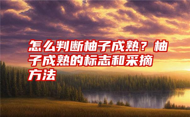 怎么判断柚子成熟？柚子成熟的标志和采摘方法