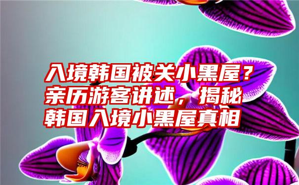 入境韩国被关小黑屋？亲历游客讲述，揭秘韩国入境小黑屋真相