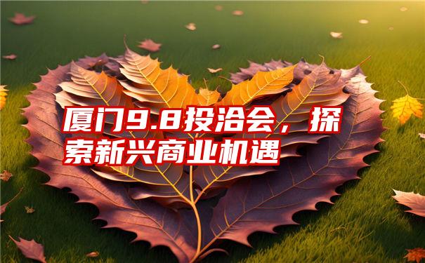 厦门9.8投洽会，探索新兴商业机遇