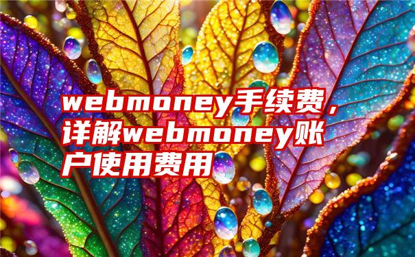 webmoney手续费，详解webmoney账户使用费用