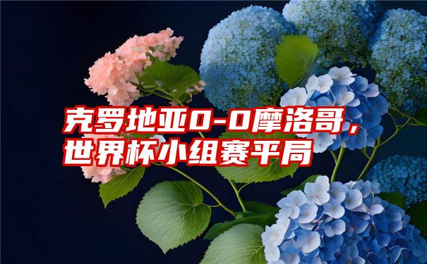 克罗地亚0-0摩洛哥,世界杯小组赛平局