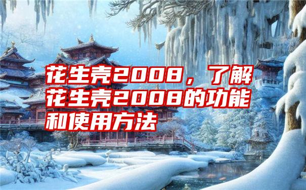 花生壳2008，了解花生壳2008的功能和使用方法