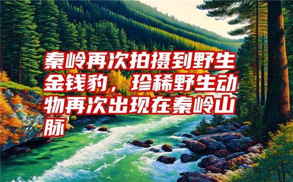 秦岭再次拍摄到野生金钱豹,珍稀野生动物再次出现在秦岭山脉