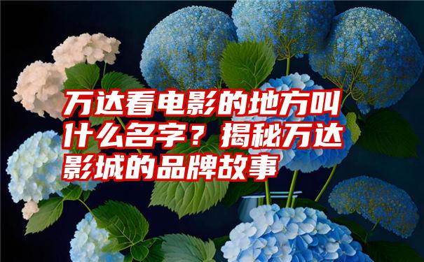 万达看电影的地方叫什么名字？揭秘万达影城的品牌故事