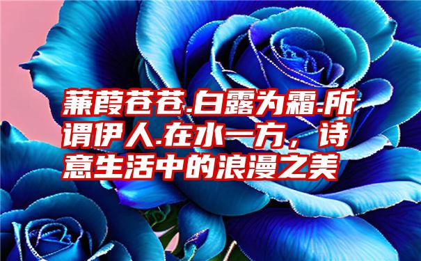 蒹葭苍苍.白露为霜.所谓伊人.在水一方,诗意生活中的浪漫之美