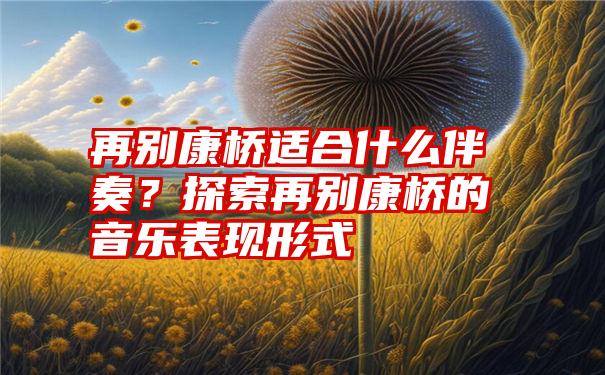 再别康桥适合什么伴奏？探索再别康桥的音乐表现形式