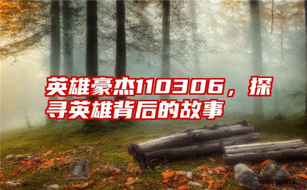 英雄豪杰110306，探寻英雄背后的故事