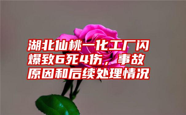 湖北仙桃一化工厂闪爆致6死4伤,事故原因和后续处理情况