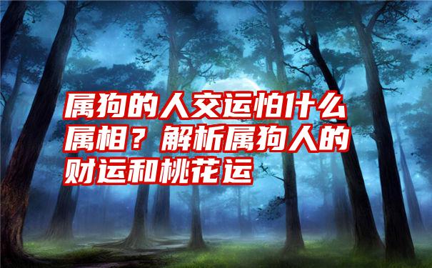 属狗的人交运怕什么属相？解析属狗人的财运和桃花运