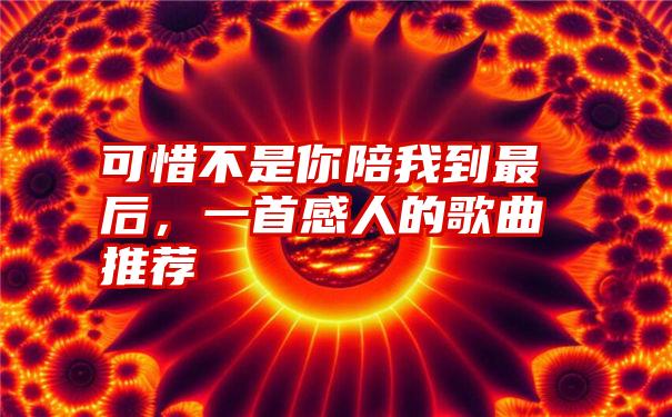 可惜不是你陪我到最后,一首感人的歌曲推荐