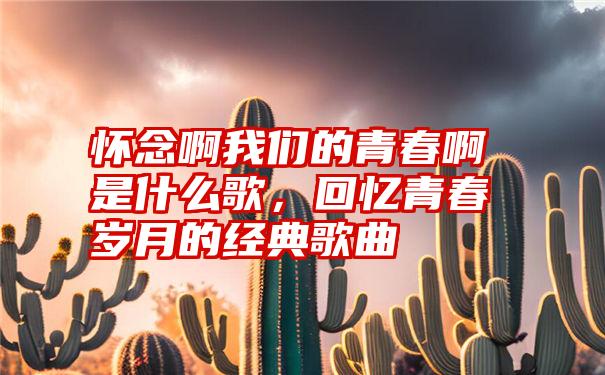 怀念啊我们的青春啊是什么歌，回忆青春岁月的经典歌曲